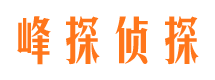 武胜侦探